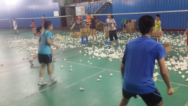 ����Сѧ�����ѧϰ�ƻ���ë����ѵ44