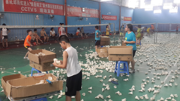 ������Сѧ�������ë����ѵ