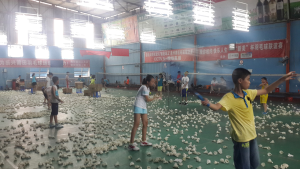 ������Сѧ�������ë����ѵ39