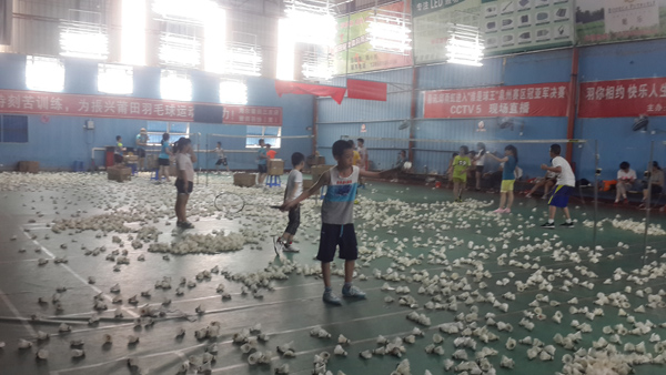 ����Сѧ�����ѧϰ�ƻ���ë����ѵ42