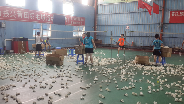 ����Сѧ�����ѧϰ�ƻ���ë����ѵ43