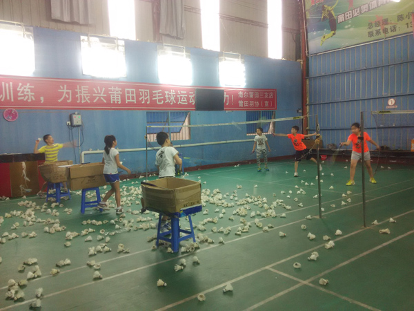 ������Сѧ�������ѵ����ë���������23