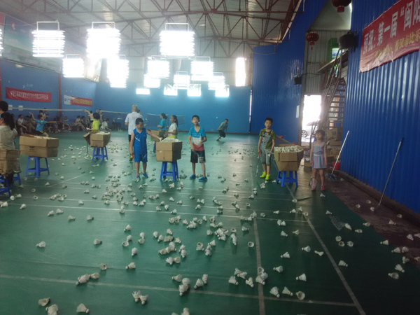 ������Сѧ������������չѵ��Ӫ33