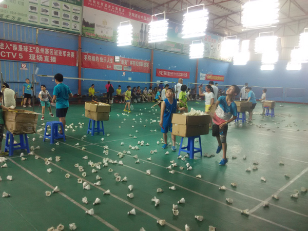 2015��������Сѧ����ٷżٺ�����ë���1