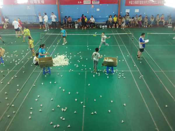 ������Сѧ����������1