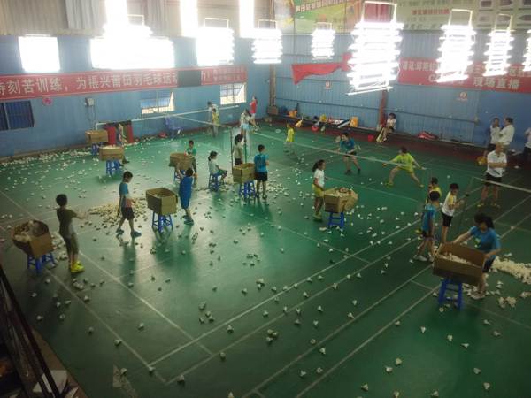 ������Сѧ����������2