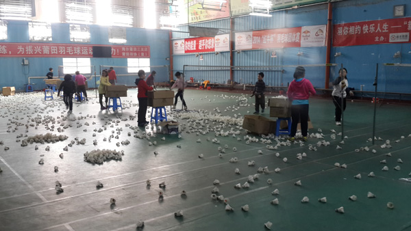 2015�����ﺮ�ٰ���ë����ѵ2��13��ͼƬ4