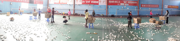 2015�����ﺮ�ٰ���ë����ѵ2��13��ͼƬ2