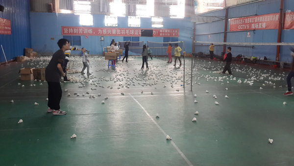 2015�꺮�ٰ���ѵΪ���������ѵ����ͼƬ66