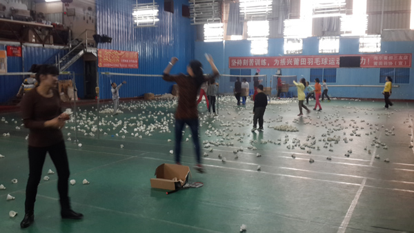 2015�꺮�ٰ���ѵΪ���������ѵ����ͼƬg