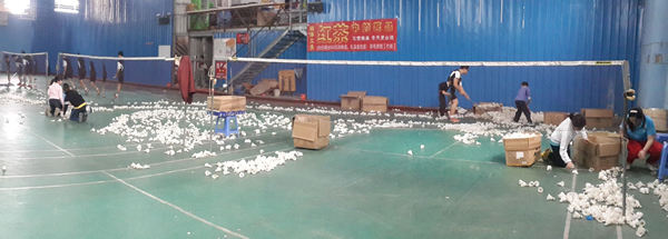 2015���ٰ���ë����ѵ1