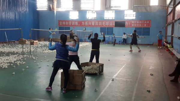 2015���ٰ���ë����ѵ2