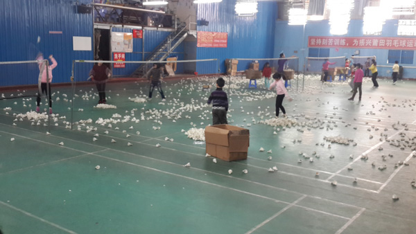 ��ë����ѵ����