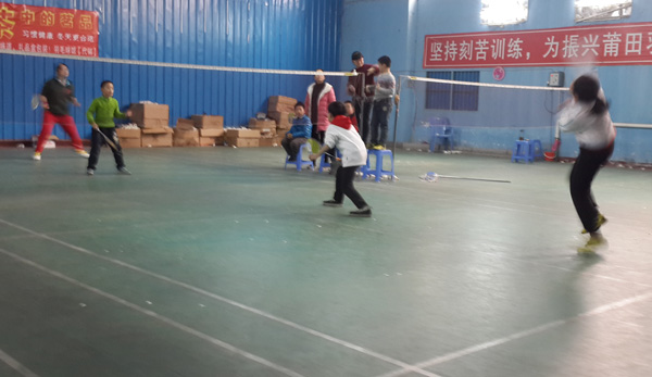 2015��������Сѧ�����ٰ���ë����ѵ6