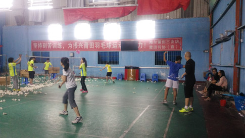 ������ѵ,���������Сѧ������ѵ��