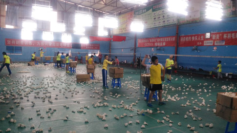 ���������ë��ѵ��,������Сѧ�������س���