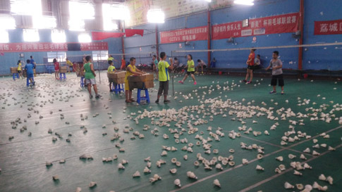 ������������˶���ë����ѵ����ѵ������ͼƬ1567