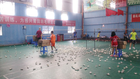 ��������������������ë��ѵ��ͼƬ1568