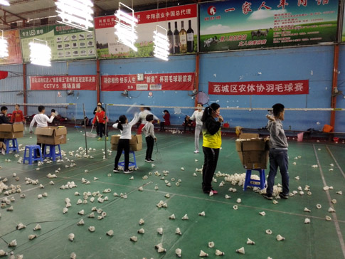 ������ѵ��ë��ѵ������ͼƬ14