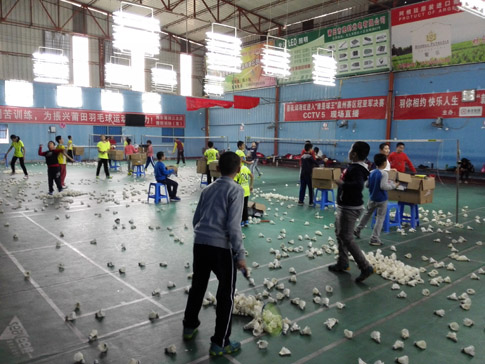 ������ѵ��ë��ѵ������ͼƬ15