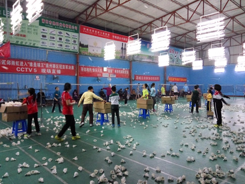 ����������ë����ѵ����ͼƬ1313