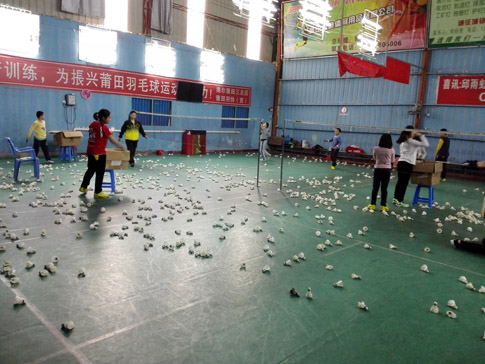 ������ѵ����ë��ѵ������ͼƬ3654