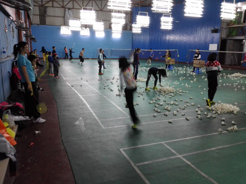 ������Сѧ����ë����ѵ