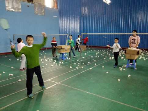 ������Сѧ������ѵ���ƻ�45242