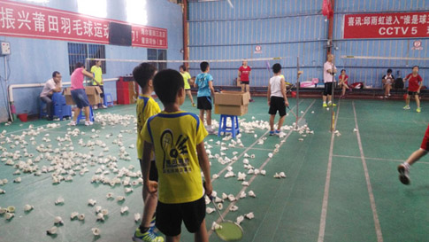 ������Сѧ�����ʽ�����ë����ѵѵ������34