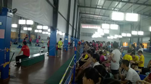 2015����ʡ��������ë�����������