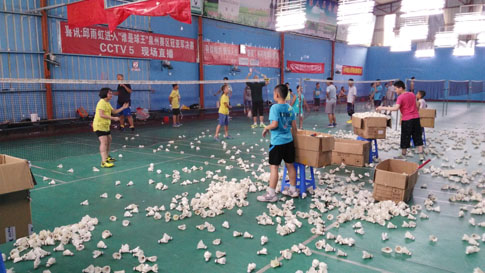 ������Сѧ����ٰ���ë�����ͼƬ2