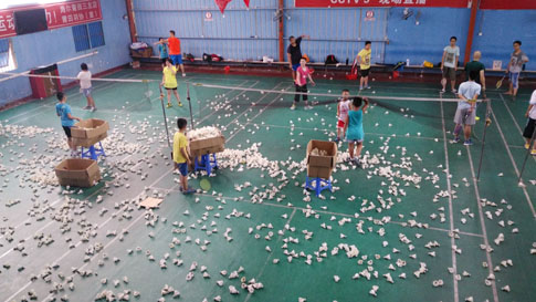 ������Сѧ����ٰ���ë�����ͼƬ5