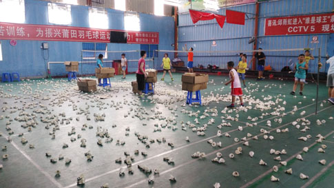 ����Сѧ����ٲ���ë��κ�2