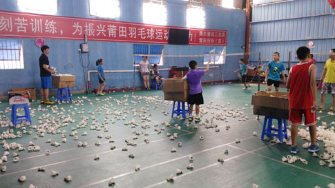 ���������Сѧ������Ӫ��ë����ѵ���ؿ���ͼƬ4