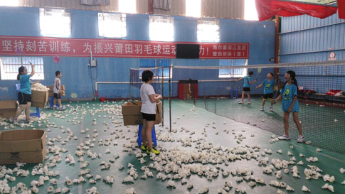 ����2015����Сѧ�������ë����ѵ747