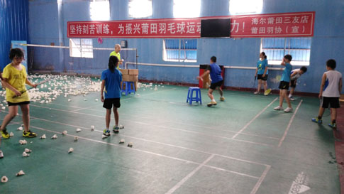 ���������Сѧ������Ӫ��ë����ѵͼƬ103