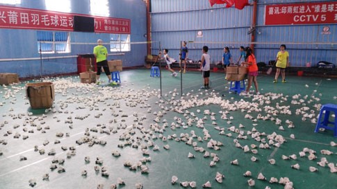 ���������Сѧ������Ӫ��ë����ѵͼƬ106