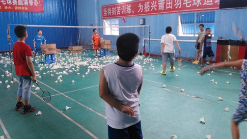 ������Сѧ����ٽ�������ѵ����ë����ѵ����07