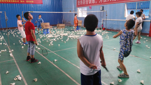 ������Сѧ����ٽ�������ѵ����ë����ѵ����08