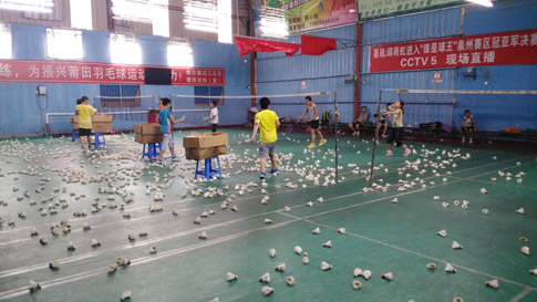 ������Сѧ�����ʽ�����ë����ѵ��ͼƬ06