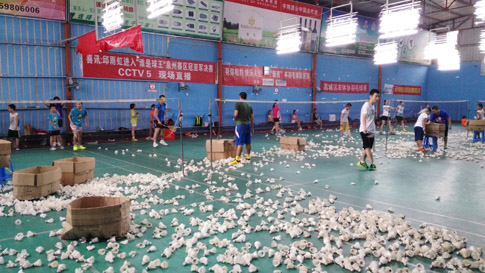 ��Сѧ����ٰ�ȫ������ë�����ѵ��2