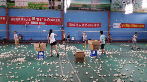 ��Сѧ����ٰ�ȫ������ë�����ѵ��4