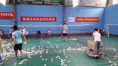 ��Сѧ����ٰ�ȫ������ë�����ѵ��5