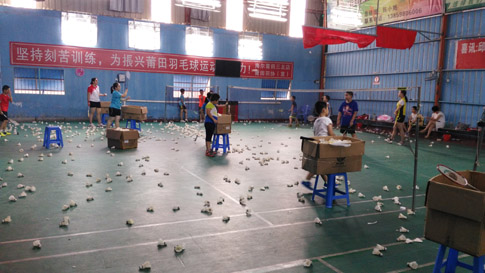 �����Сѧ������Ӫ��ë�����02