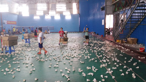 2015����Сѧ�����ѧϰ�ƻ���ë����ѵ����ͼƬ04