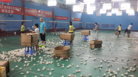 ����Сѧ�����ѧϰ�ƻ���ë����ѵ��4