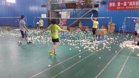 ����Сѧ�����ѧϰ�ƻ���ë����ѵ��6