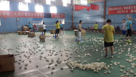 ���������ѵ����ë�����ͼƬ4