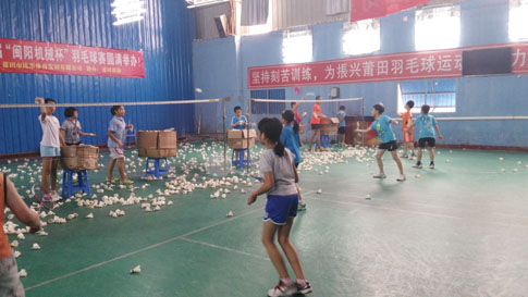 ��ë����ѵ�������