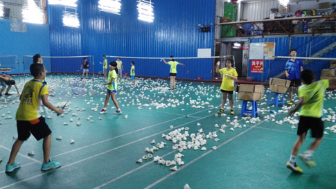 ��СѧУ�＾�����ƻ���ë����ѵ����ͼƬ��10